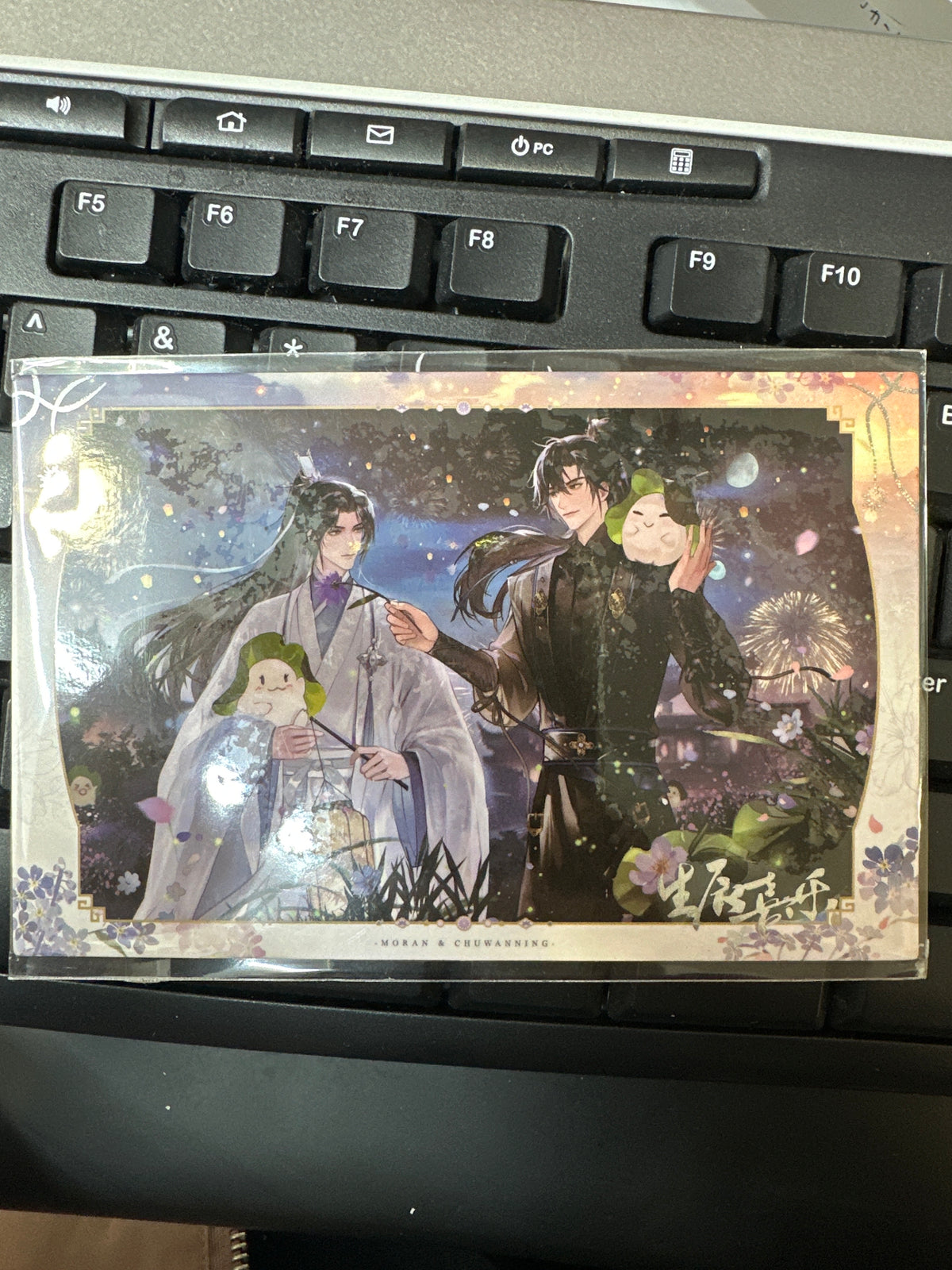 The Husky and His White Cat Shizun Polaroid