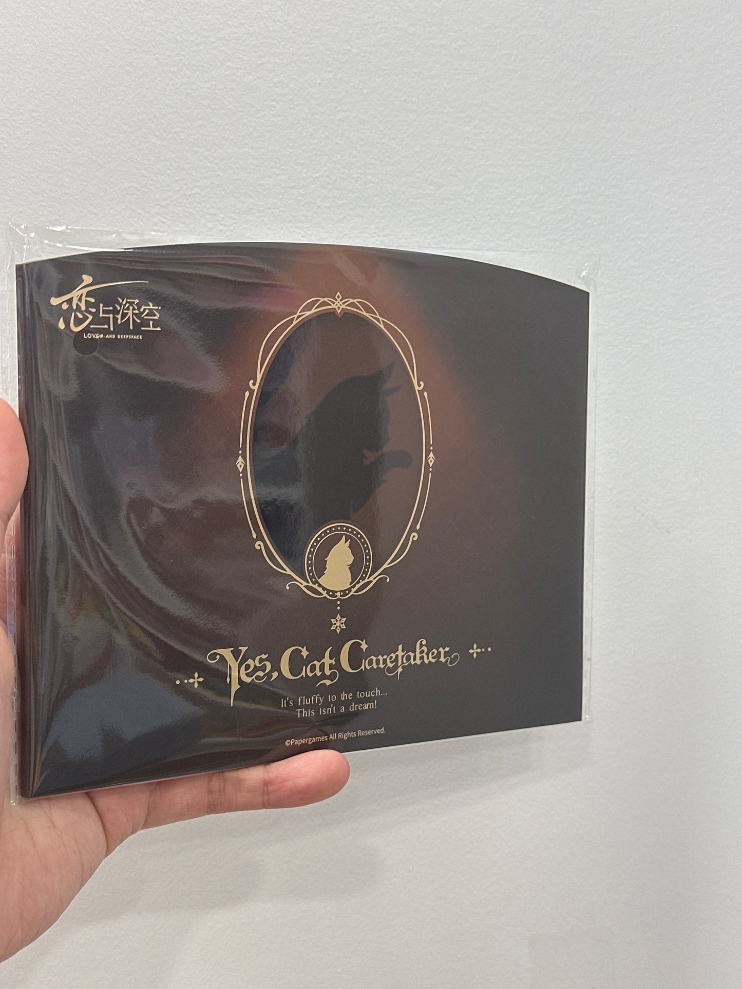 33895 Love and deepspace Photocard set Zayne